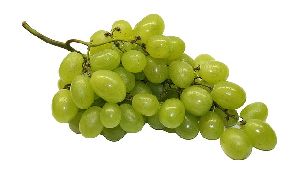 Thompson Seedless Grapes