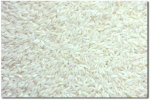 BPT Rice