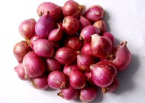 Fresh Red Small Onion
