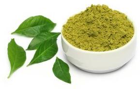 Curry Leaf Powder Organic