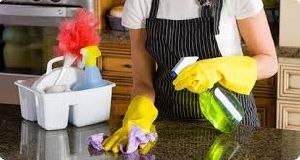 hotel housekeeping services