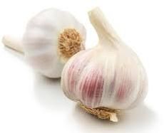 Fresh Garlic