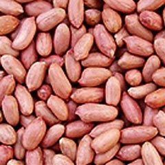 Groundnut Seeds