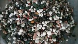 Natural River Pebble Stone