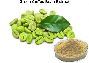 green_coffee_bean_extract