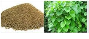 Neem giloy Powder