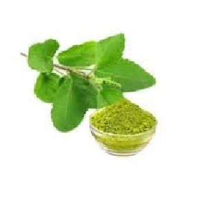 Tulsi Powder