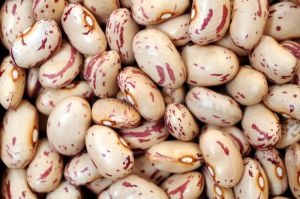 Kidney Beans