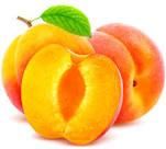 Fresh Apricot