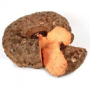 Elephant Yam