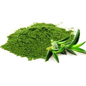 Aloe Vera Leaf Powder