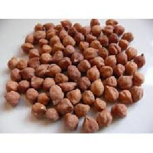 Black Chickpeas