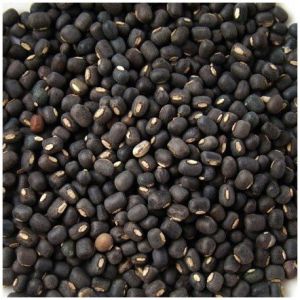 Urad Dal