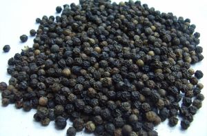 Black Pepper Seeds