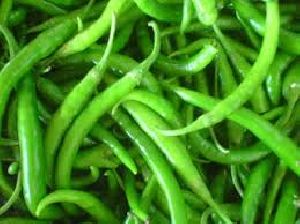 Fresh Green Chilli