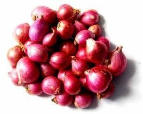 Fresh Red Onion