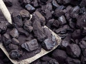 Indonesian Coal