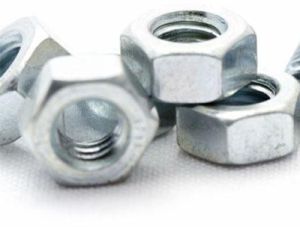 Stainless Steel Nuts