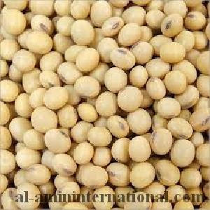 Soybean Seed