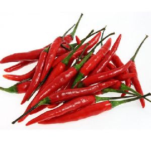 Red Chilli Sauce