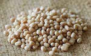 Whole Washed Urad Dal