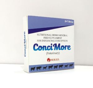 ConciMore