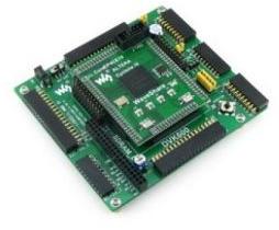 FPGA Development Board