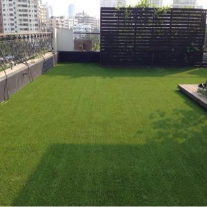 Artificial Grass