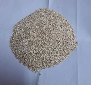 quinoa seed