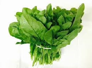 Spinach