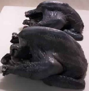 Kadaknath (Black) Chicken