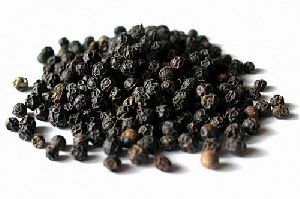 Black Pepper Seeds