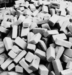 Fly Ash Bricks