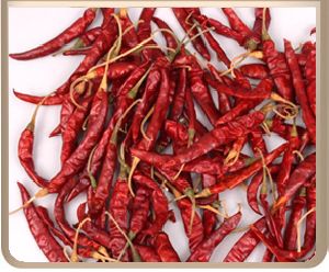 RED CHILLIES:
