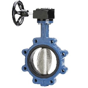 Butterfly Valve