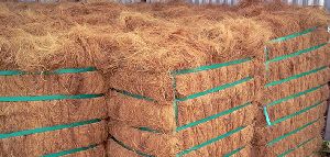 Coir Fiber Bales