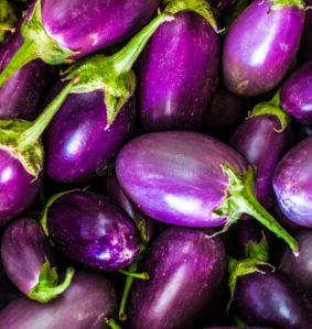 Fresh Brinjal