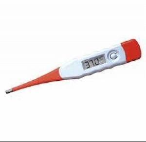 Digital Thermometer