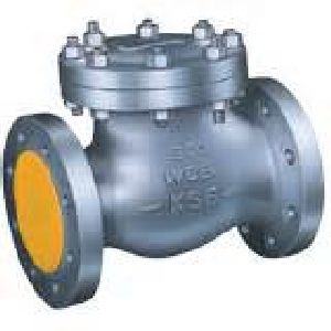 Swing Check Valve