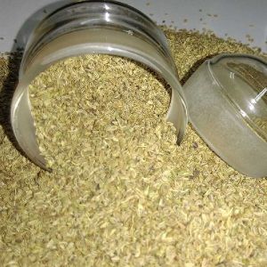 Ajwain