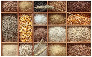 Food Grains