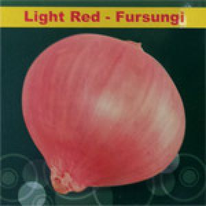 light red onion seeds