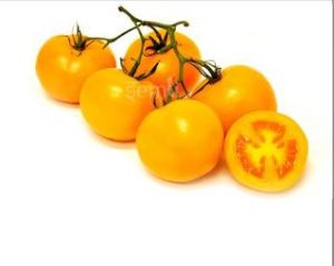 Yellow Cherry Tomato