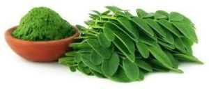 Moringa Leaf Powder