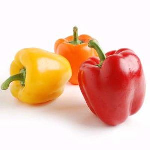 Color Capsicum