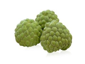 Custard Apple