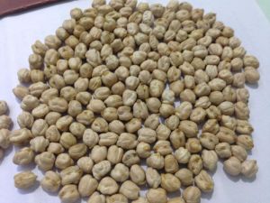 Kabuli Chickpeas