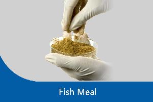 Fish Meal