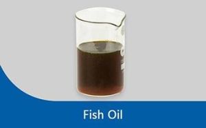 Fish Oil