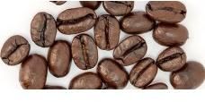 Roasted Coffee Bean